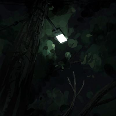 lights+trees1.jpg