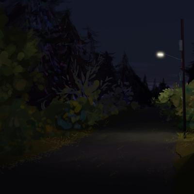 lights+trees2.jpg
