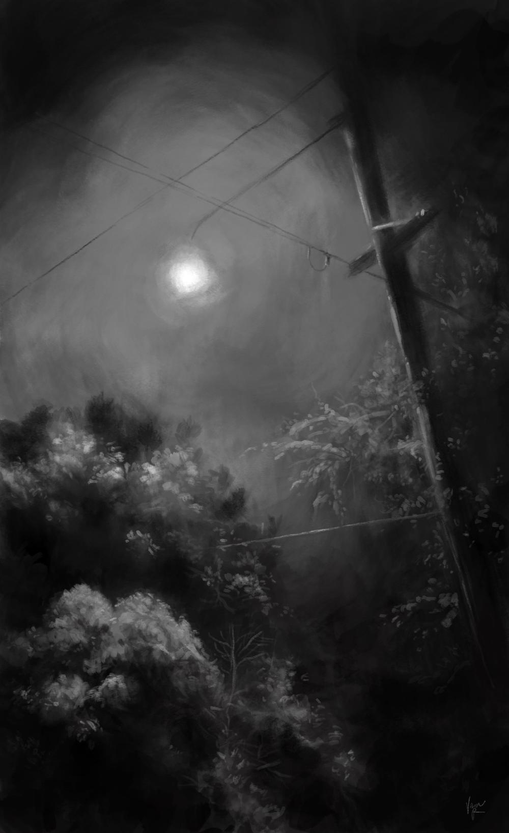 lights_trees_still1.jpg