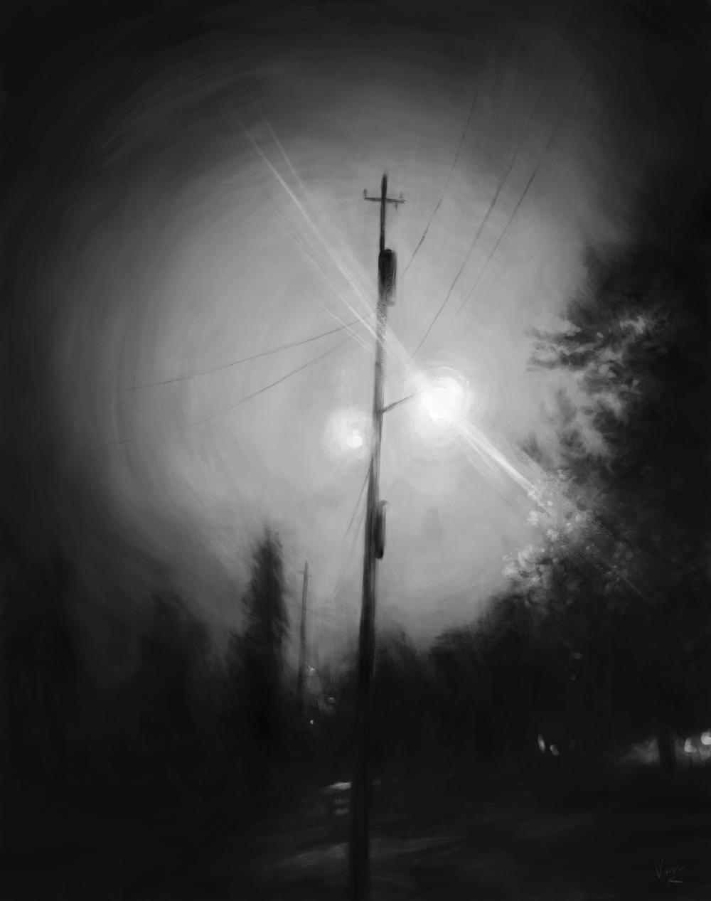 lights_trees_still2.jpg