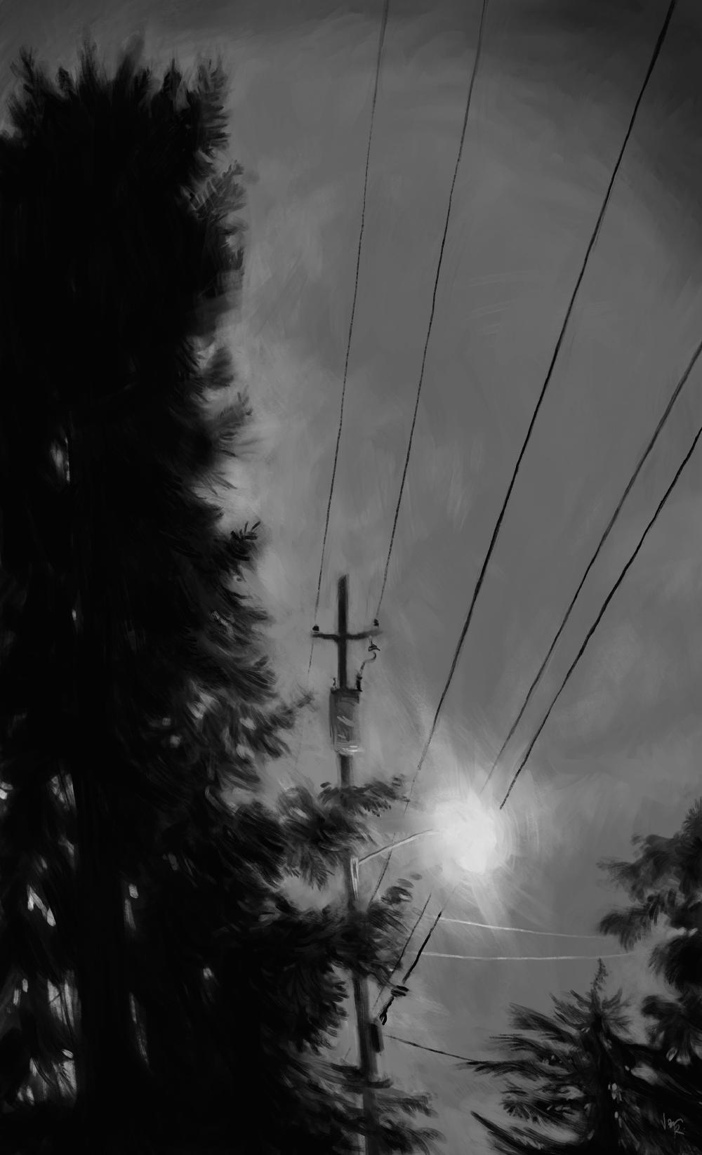 lights_trees_still3.jpg