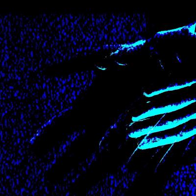 20230602_03-untitled_hands.jpg